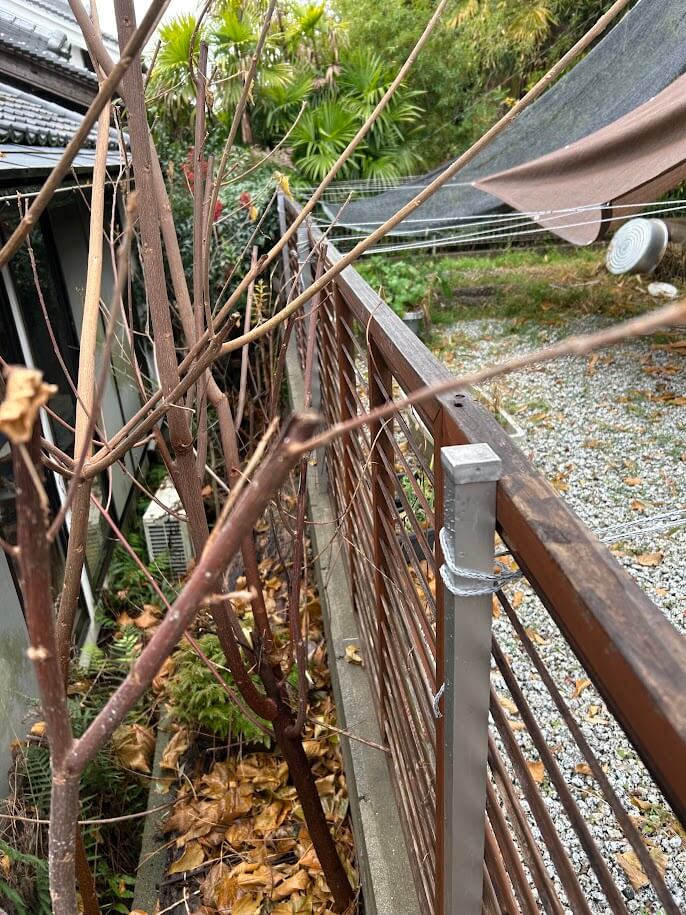 隣家の木が侵入し、落ち葉が敷地内へ
